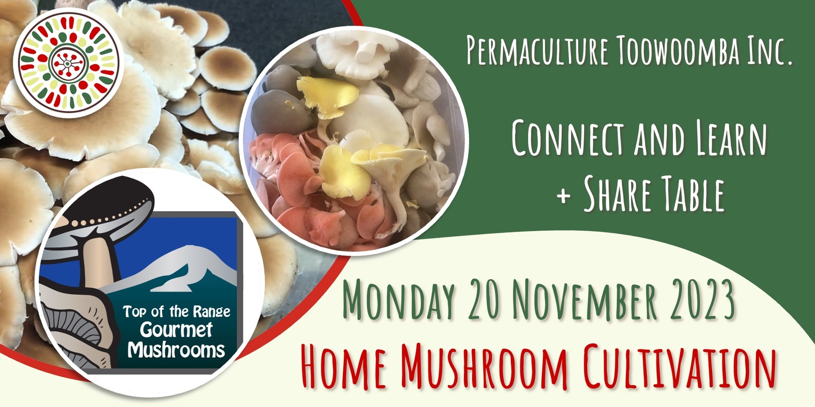 Banner image for Connect and Learn - Home Mushroom Cultivation