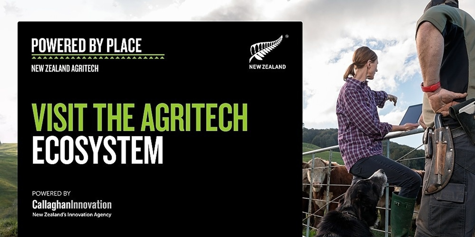 Banner image for Visit New Zealand’s Agritech Ecosystem