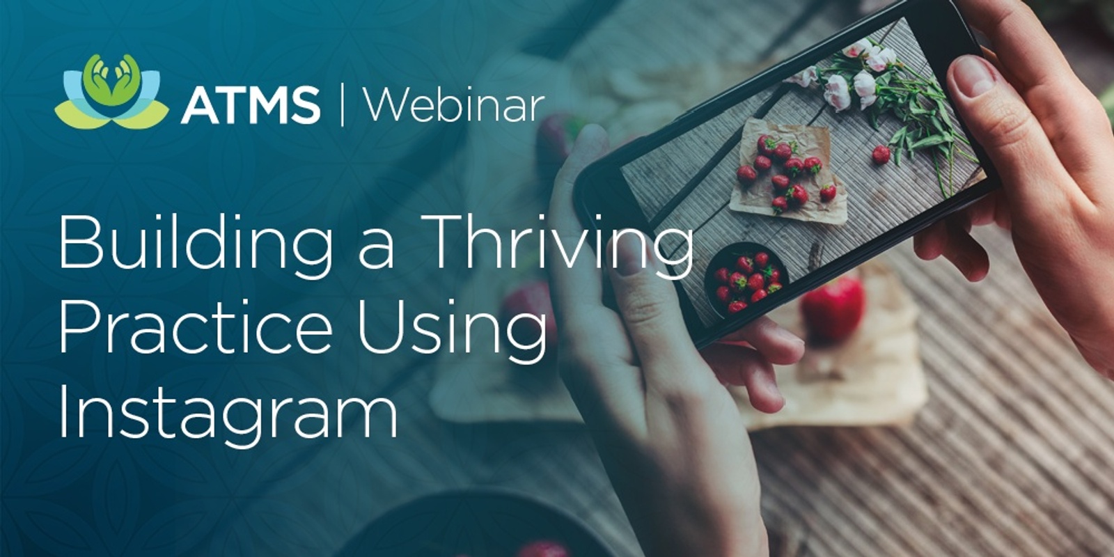 Banner image for Webinar: Building a Thriving Practice Using Instagram