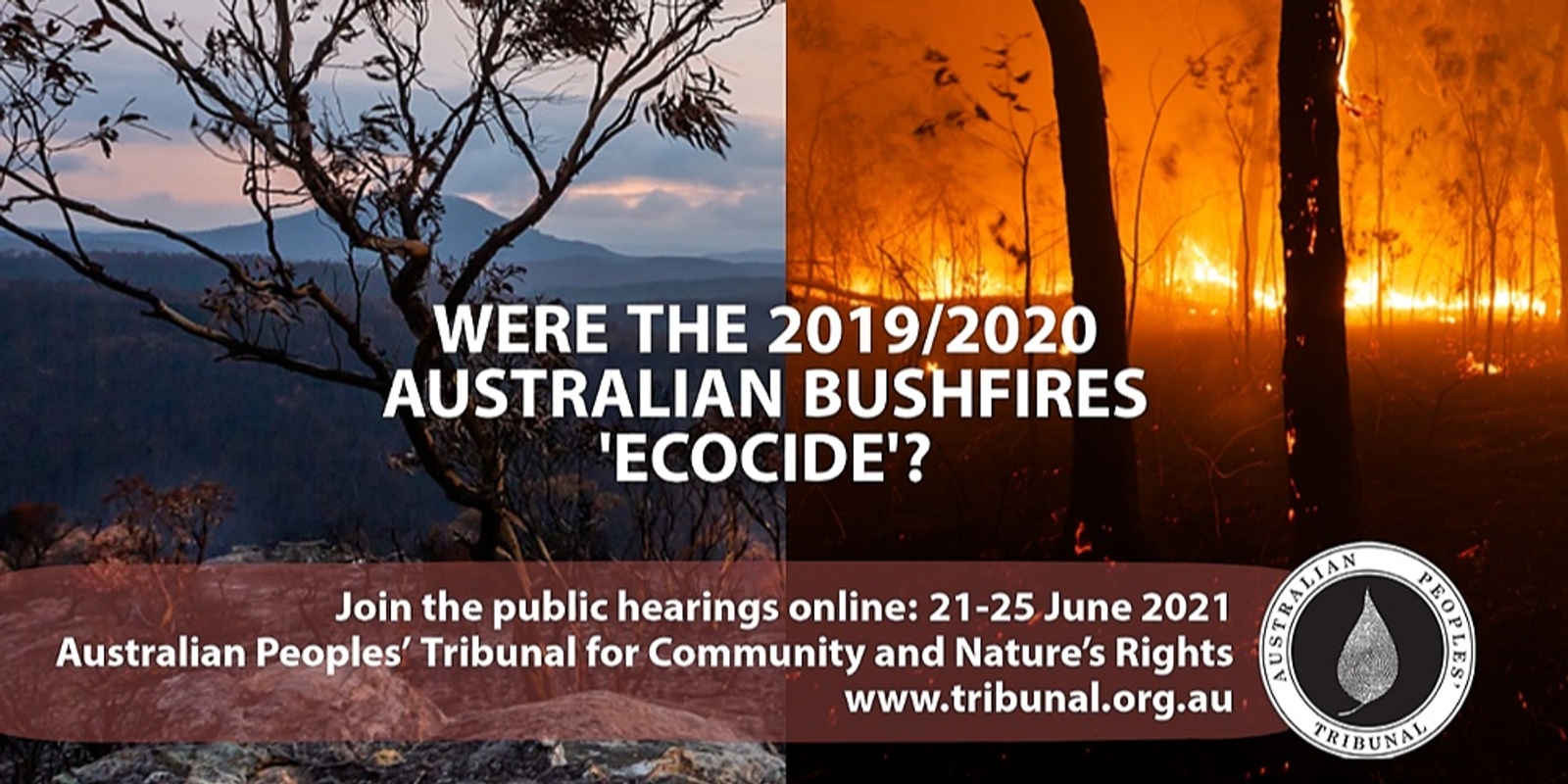 Banner image for Were the 2019/2020 Australian bushfires 'ecocide'? Australian Peoples' Tribunal for Community and Nature's Rights