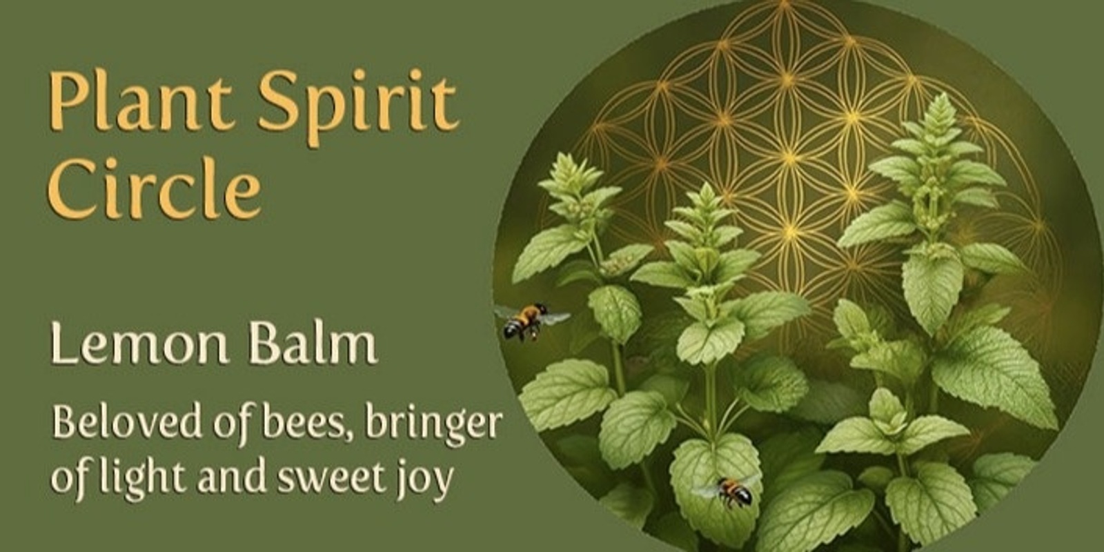 Banner image for PLANT SPIRIT CIRCLE - Lemon Balm