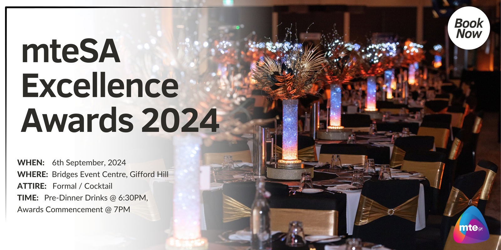 Banner image for mteSA 2024 Excellence Awards