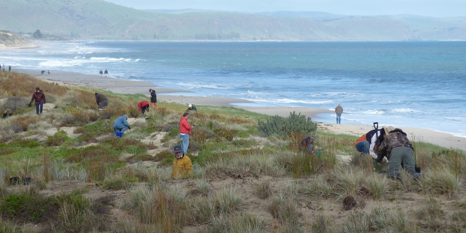 Banner image for National Tree Day Community Planting at Carrickalinga-Haycock Point Lookout