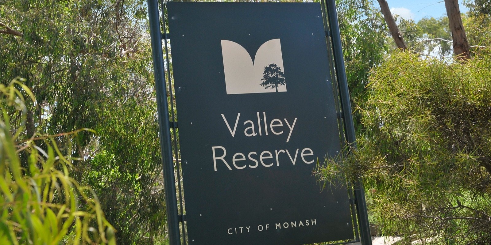 Banner image for Valley Reserve Walk and Talk to Nature in Focus Exhibition