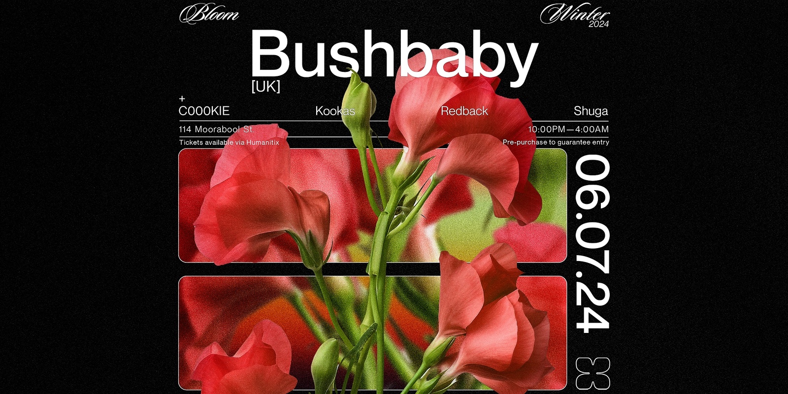 Banner image for Bloom ▬ Bushbaby [UK]
