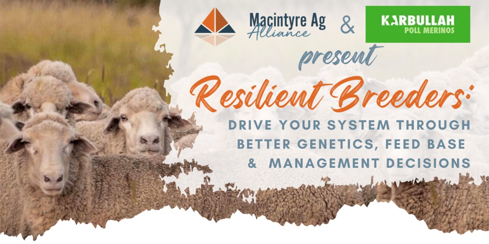 Banner image for Resilient Breeders