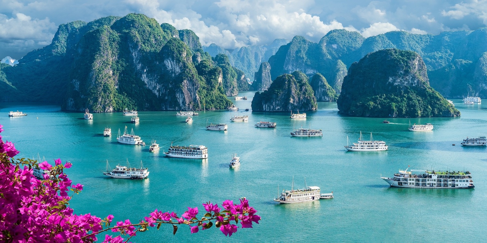 Banner image for 98th International Selection Panel in Ha Long Bay, Vietnam