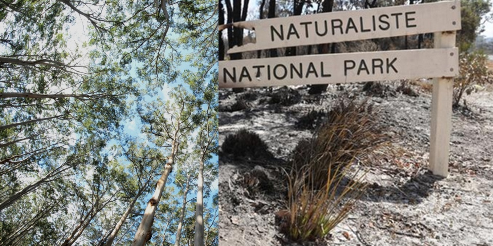 Banner image for Sundowner Series: Leeuwin Naturaliste National Park - at a crossroads