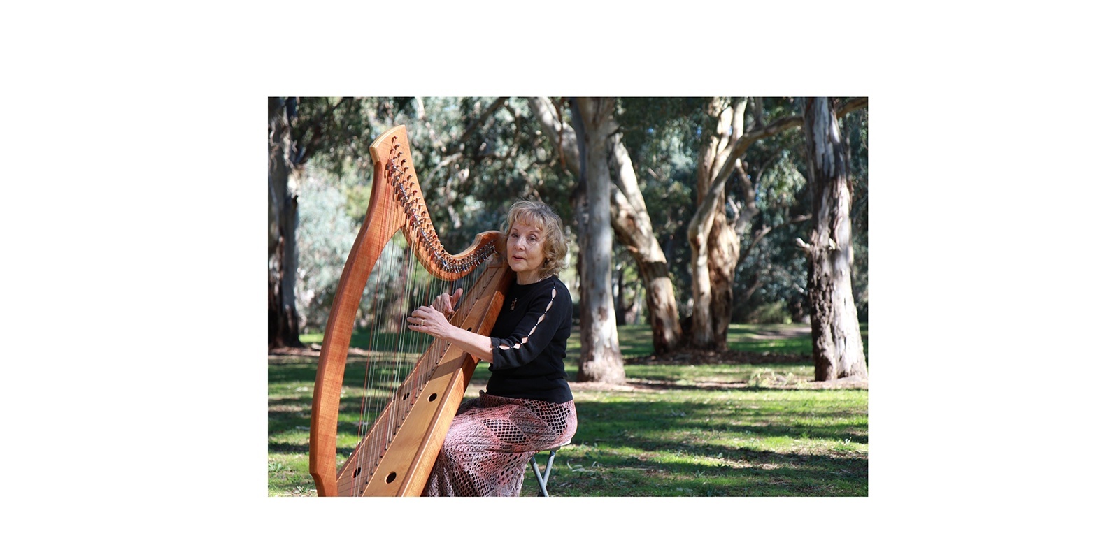 Banner image for Mindfulness Meditation with Harp Music in the Park