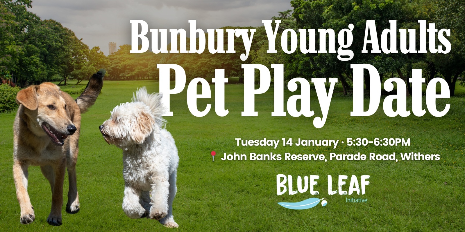 Banner image for Bunbury Young Adults Pet Play Date