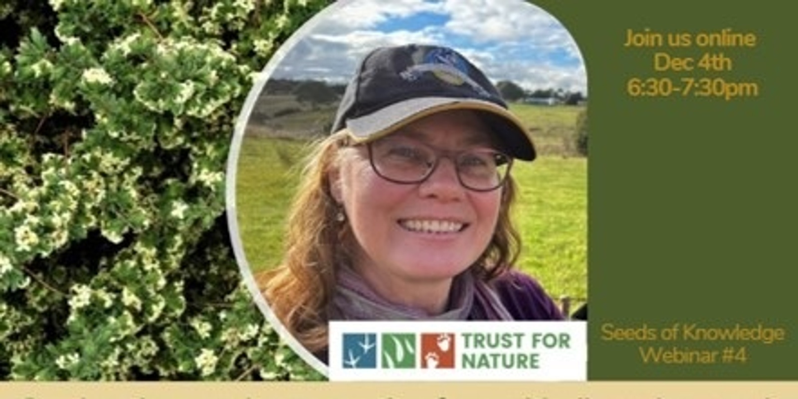 Banner image for Seeds of Knowledge - Webinar #4: Seed ecology and conservation for a critically endangered species (Pimelea spinescens) - Dr Debbie Reynolds - Trust For Nature