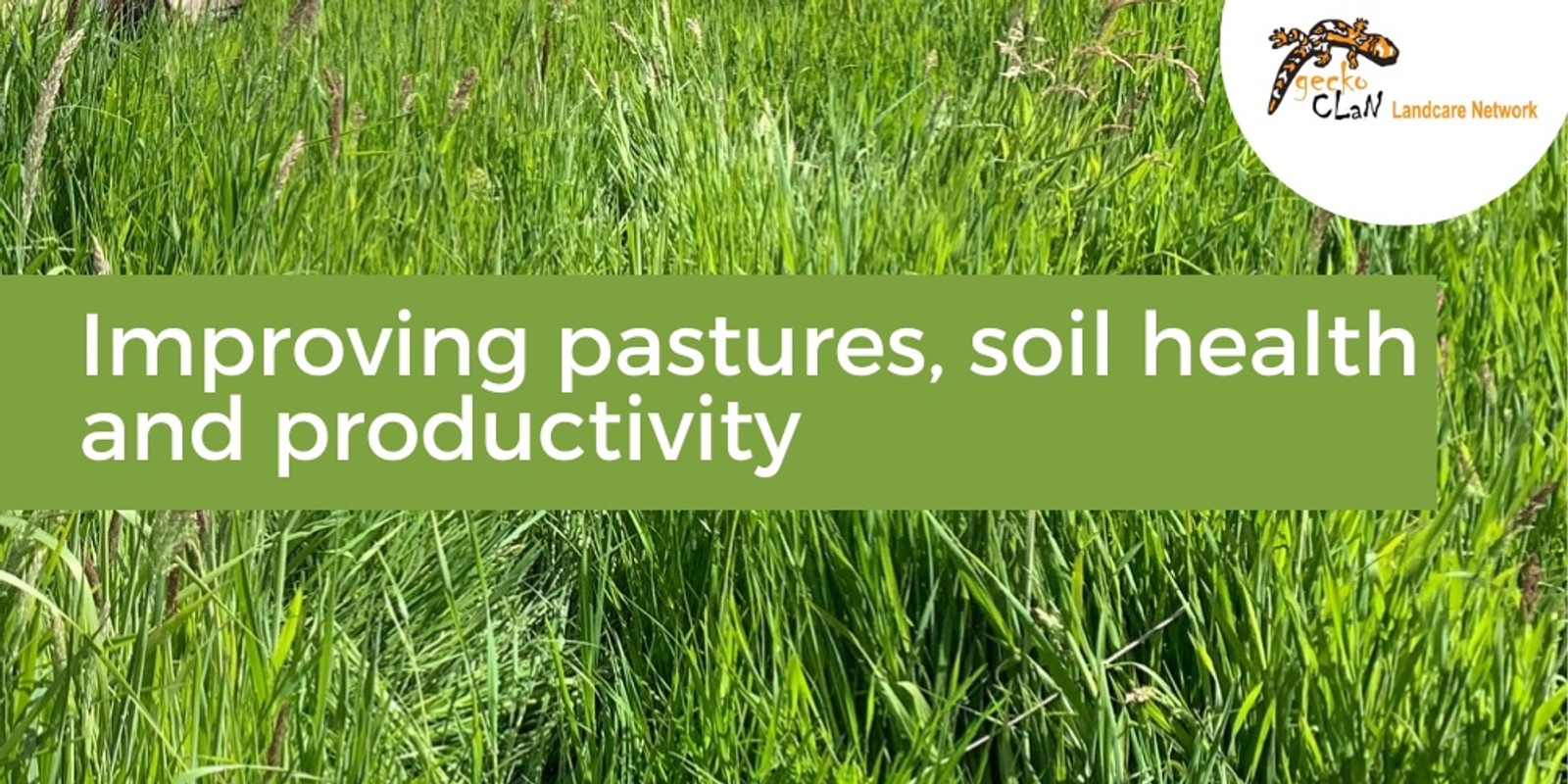Banner image for Winton - Improving pastures, soil health and productivity