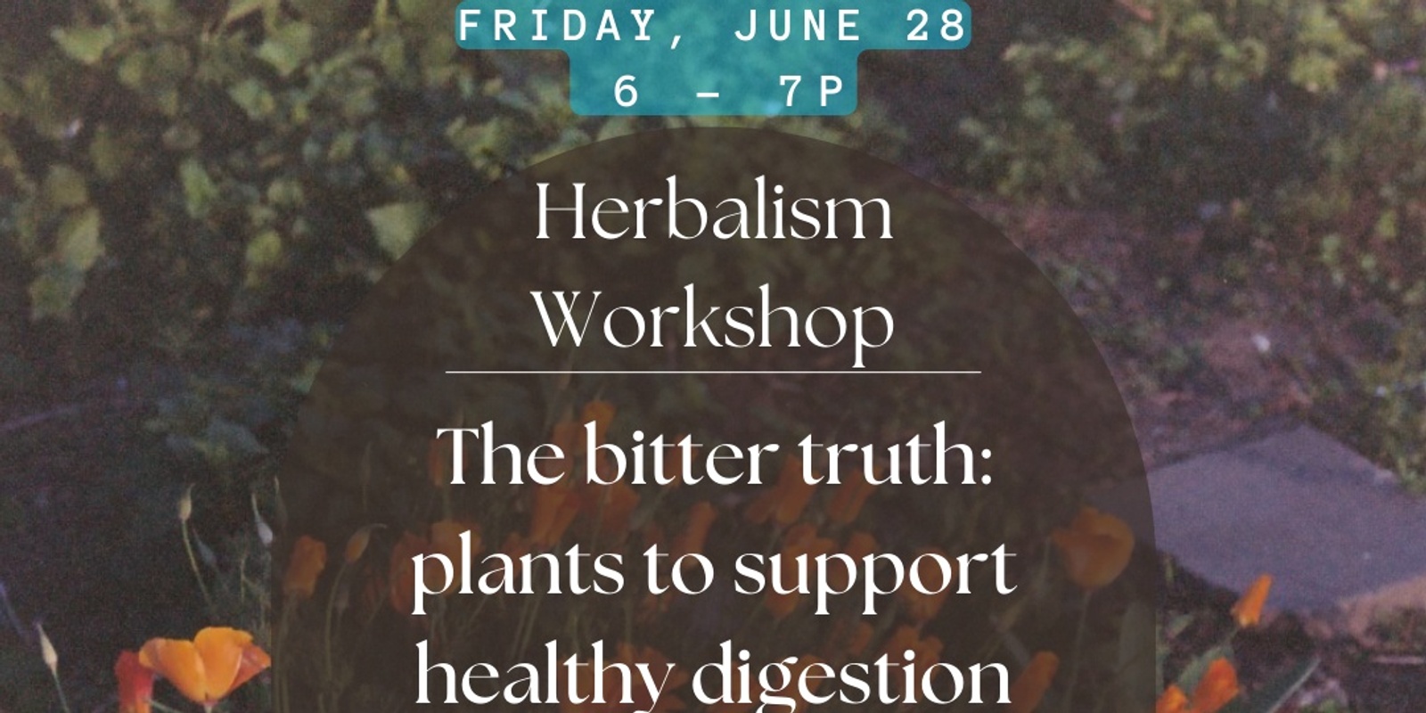 Banner image for Herbalism Workshop: Plants to Support Healthy Digestion w/ Holly Poole-Kavana