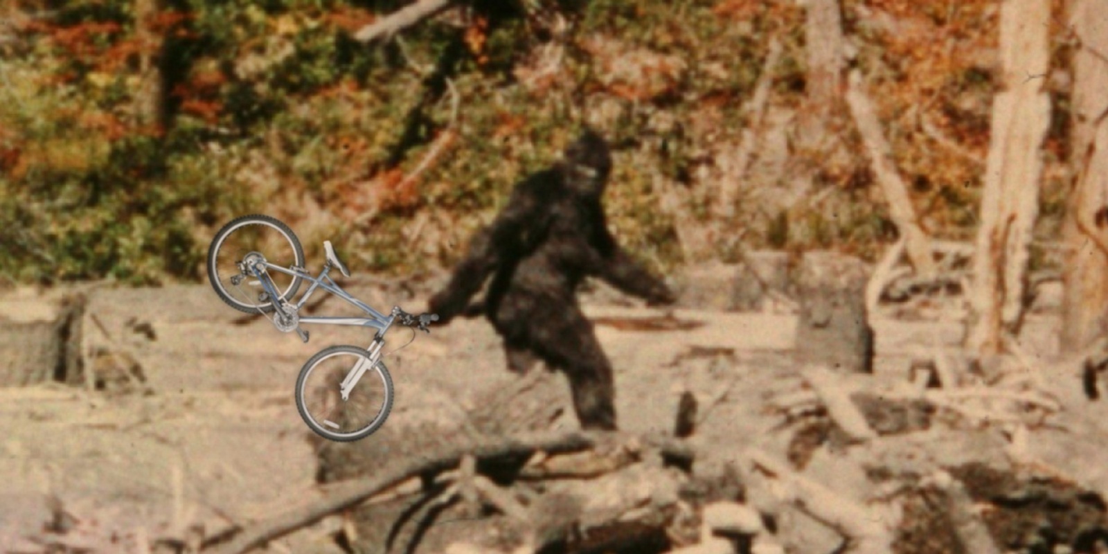 Banner image for BELIEVE: The Bigfoot Ride