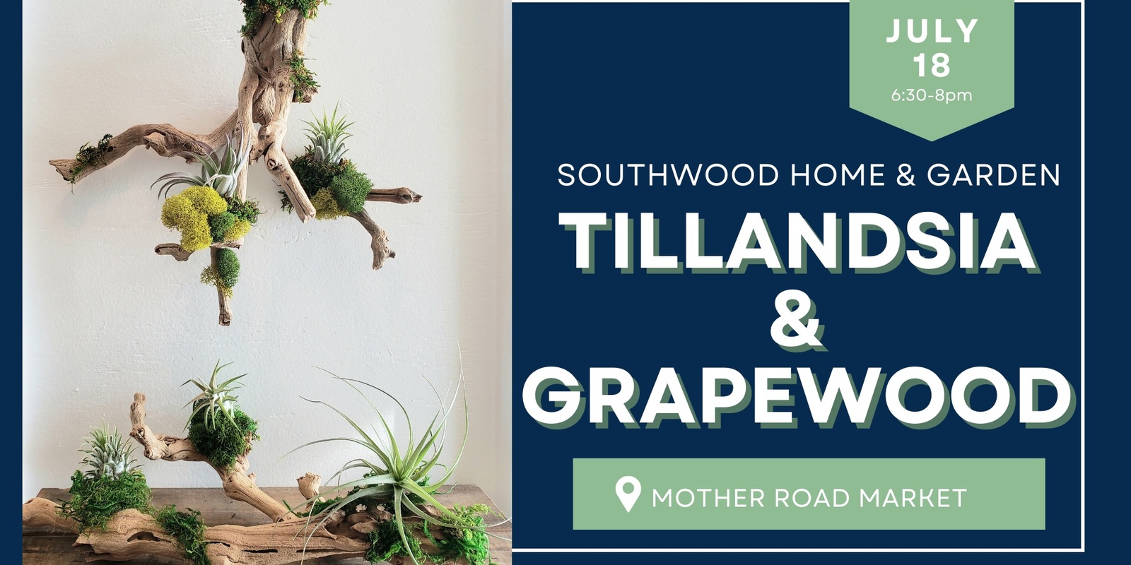 Banner image for Tillandsia & Grapewood with Southwood Home & Garden