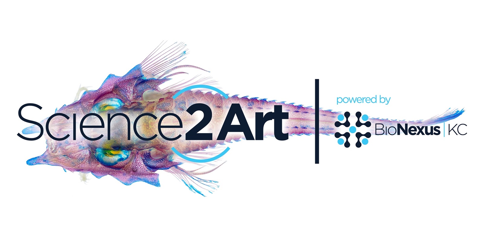 Banner image for 2023 Science2Art Exclusive Reveal