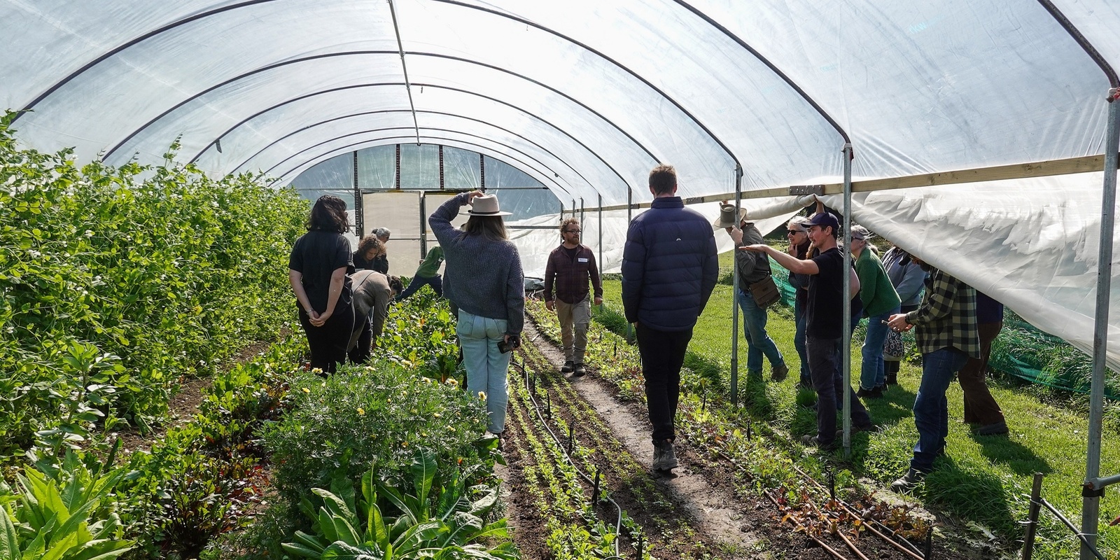 Banner image for Market Garden Webinar: a deep dive into soil health & soil testing