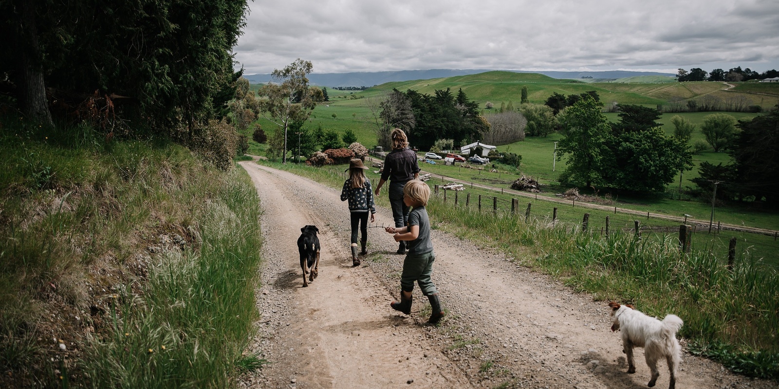 Rural Women New Zealand's banner