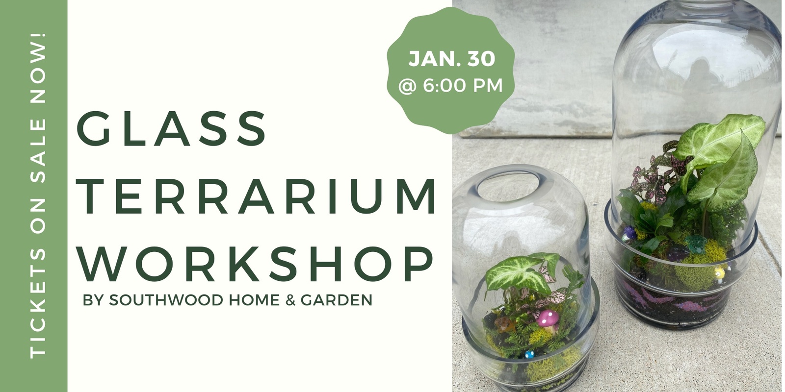 Banner image for Glass Terrarium Workshop with Southwood Home & Garden