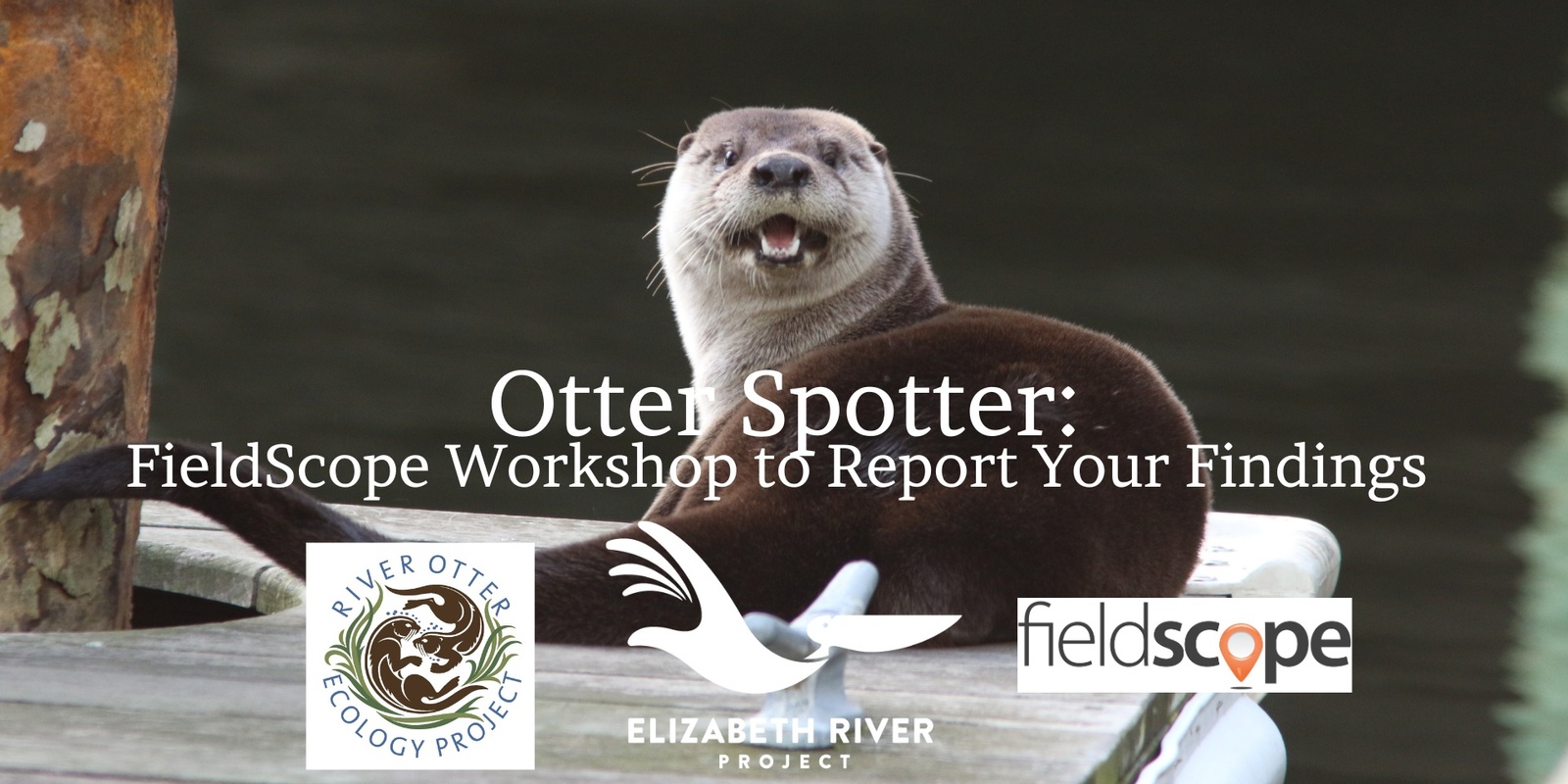 Banner image for Otter Spotters: FieldScope Training to Report Your Findings