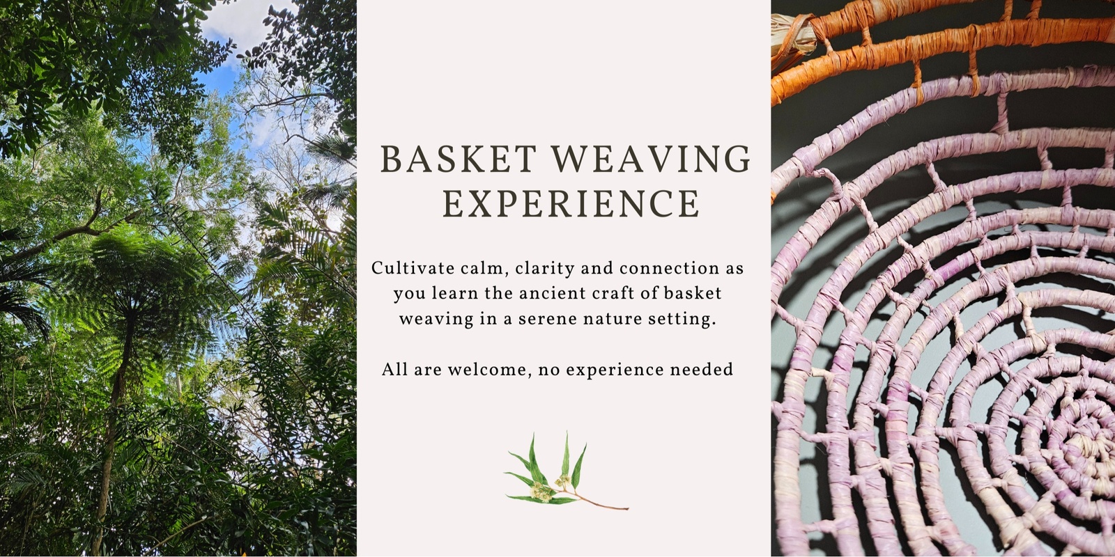 Banner image for Basket Weaving in Nature - Mariposa Stitch Workshop