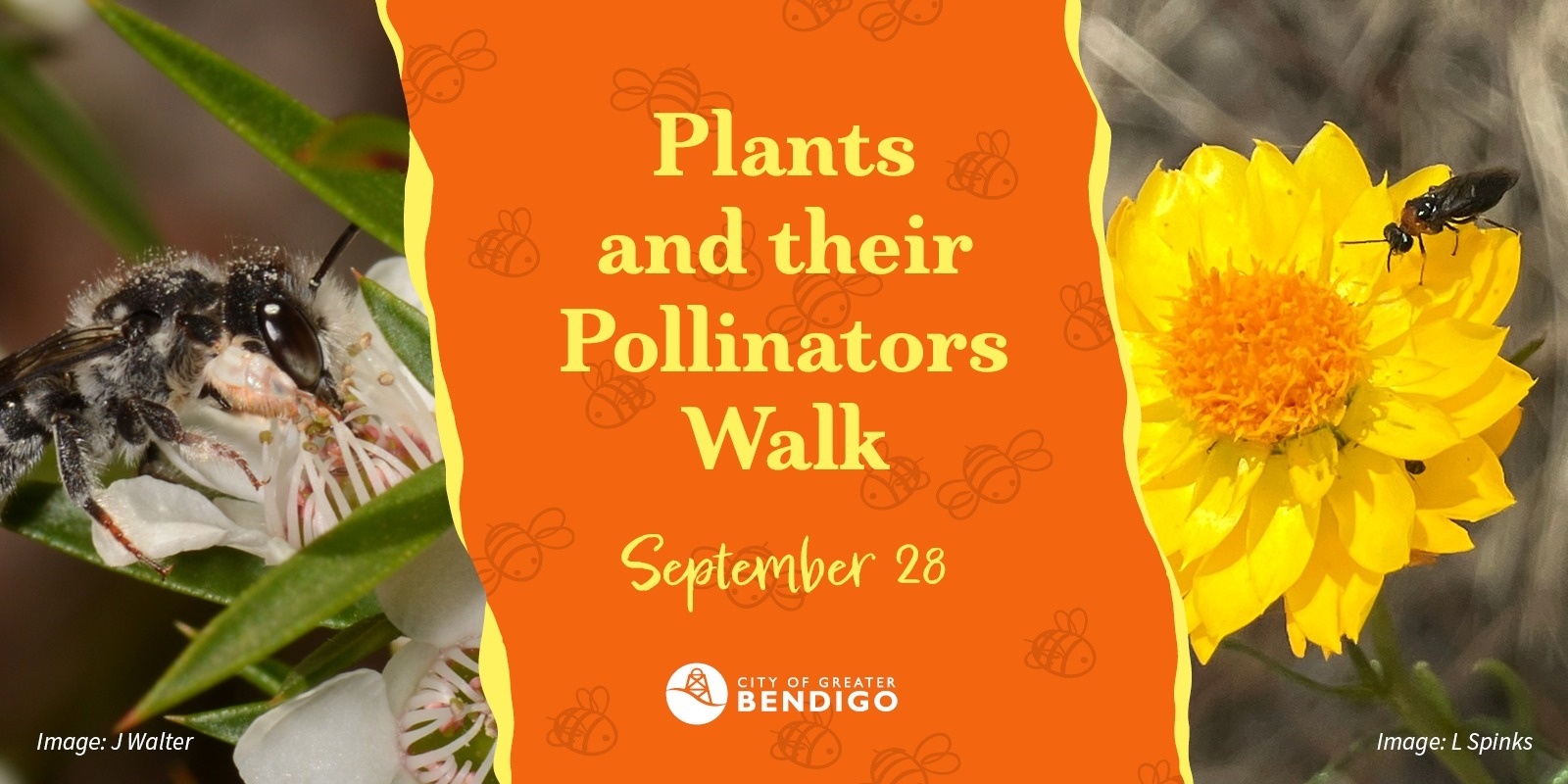 Banner image for Plants and their Pollinators Walk