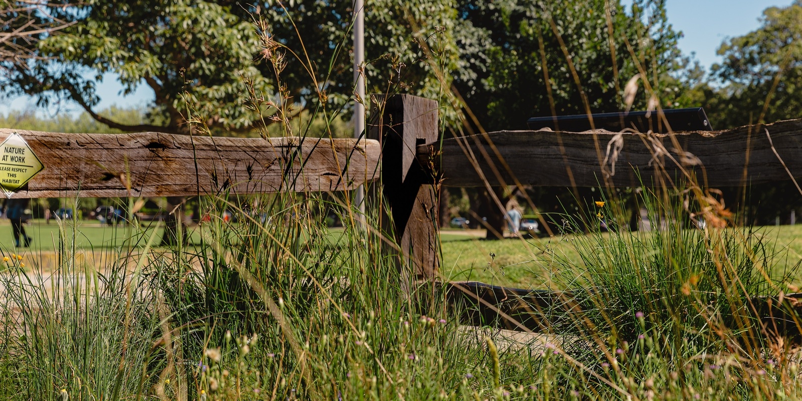 Banner image for Open Garden: Tour of Stonnington's Lost Lands Found meadow garden