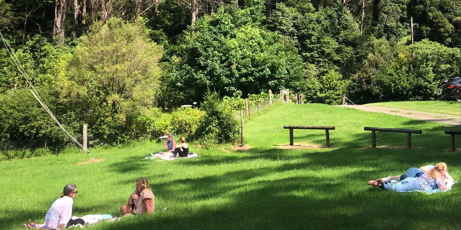 Banner image for Rewild Your Soul Jamberoo Mountain Day Retreat