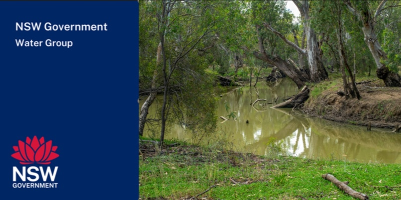 Banner image for Community consultation - draft Water Sharing Plan for the Lachlan Unregulated River Water Sources 2025 - Cowra