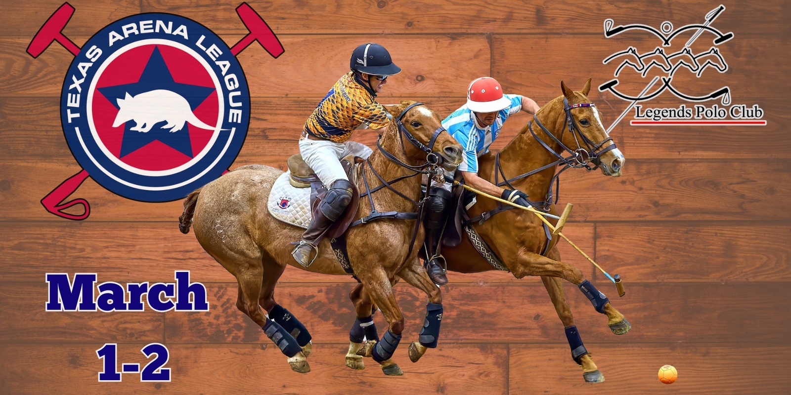 Banner image for Texas Arena League - Arena Polo in DFW