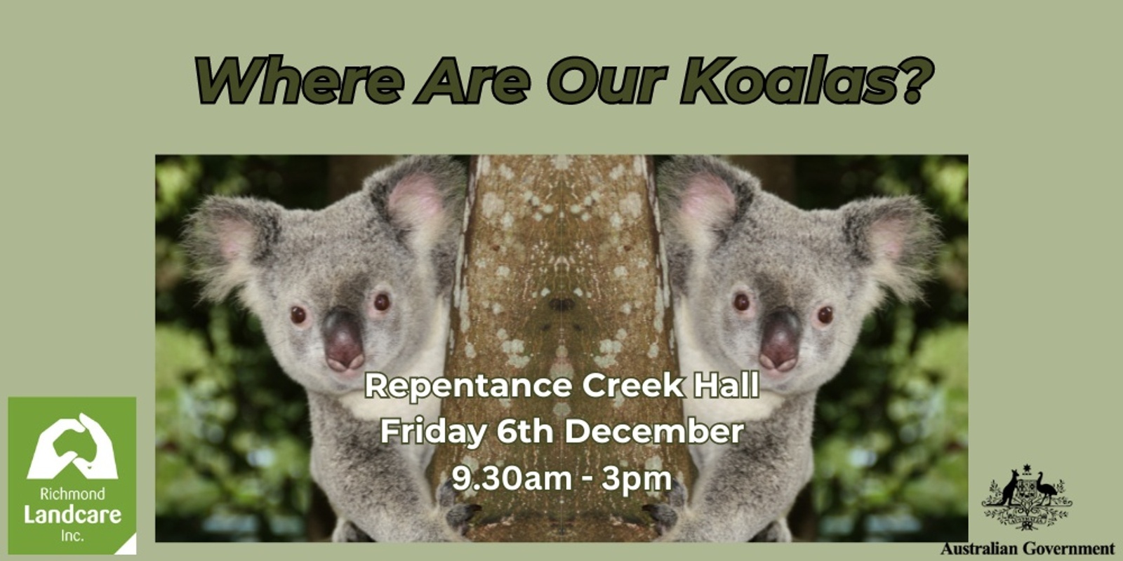 Banner image for Where Are Our Koalas? Repentance Creek 