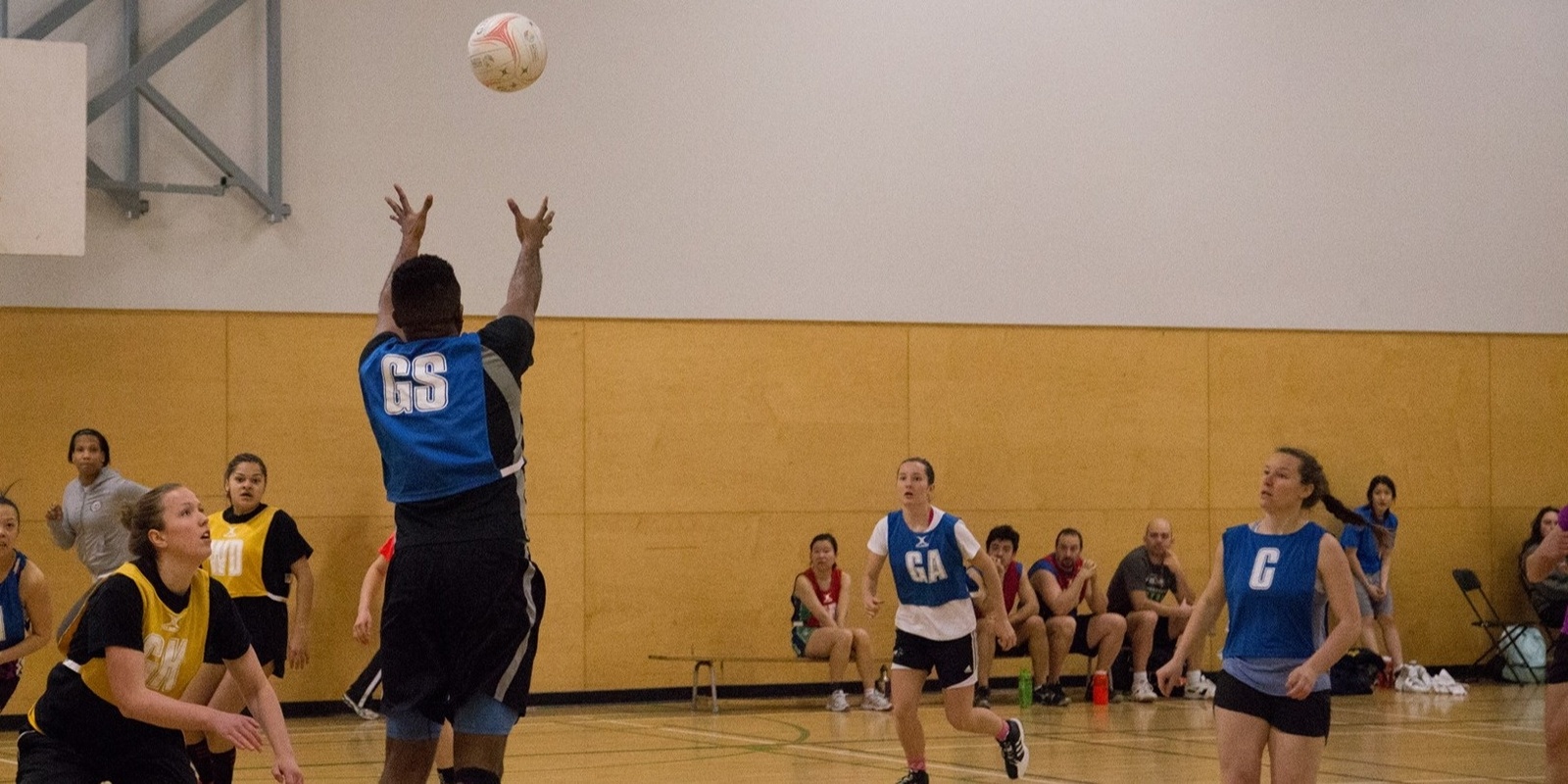 Banner image for 2024 Denmark Mixed Social Netball 