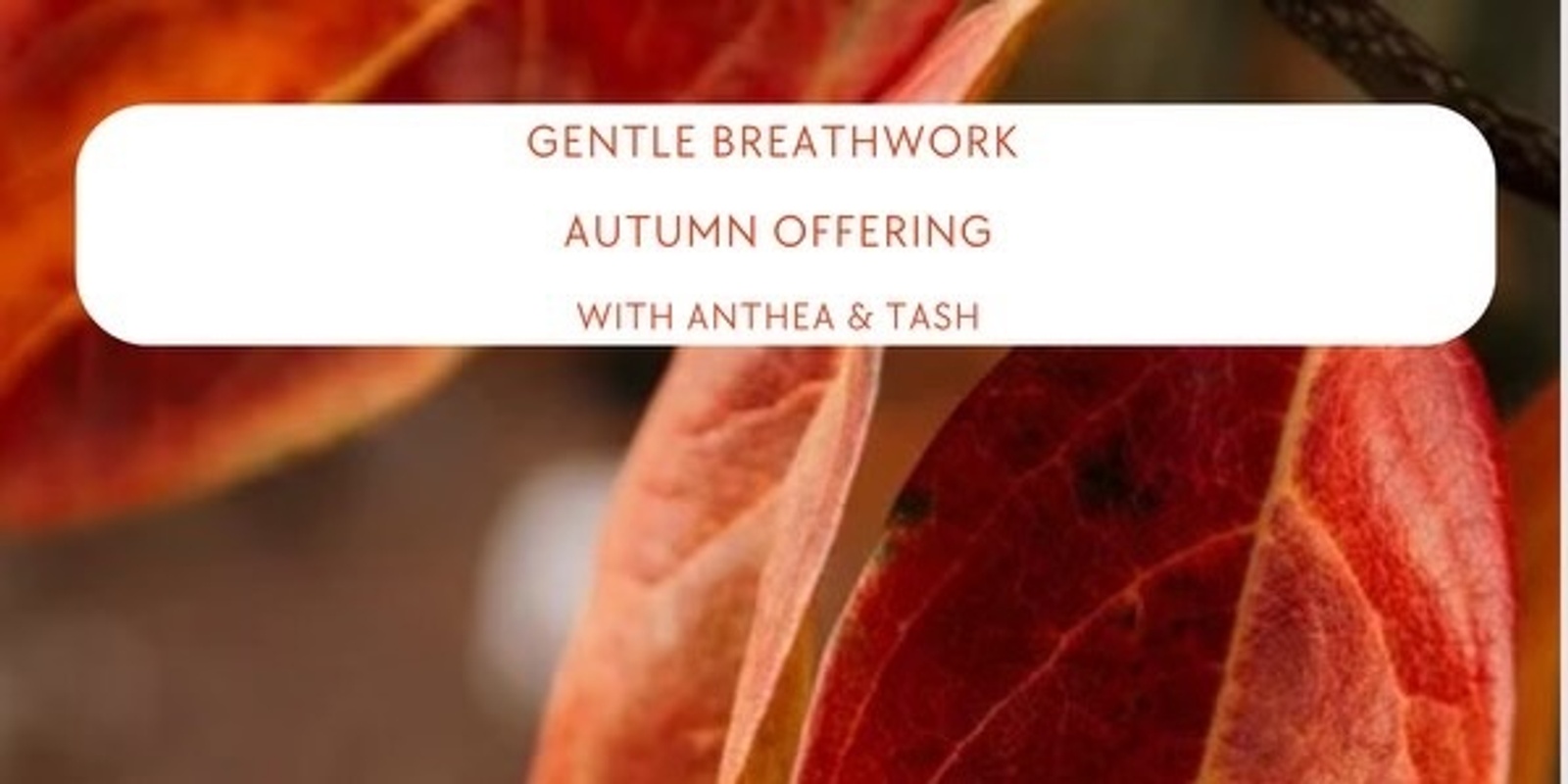 Banner image for Gentle Breathwork - Autumn Offering