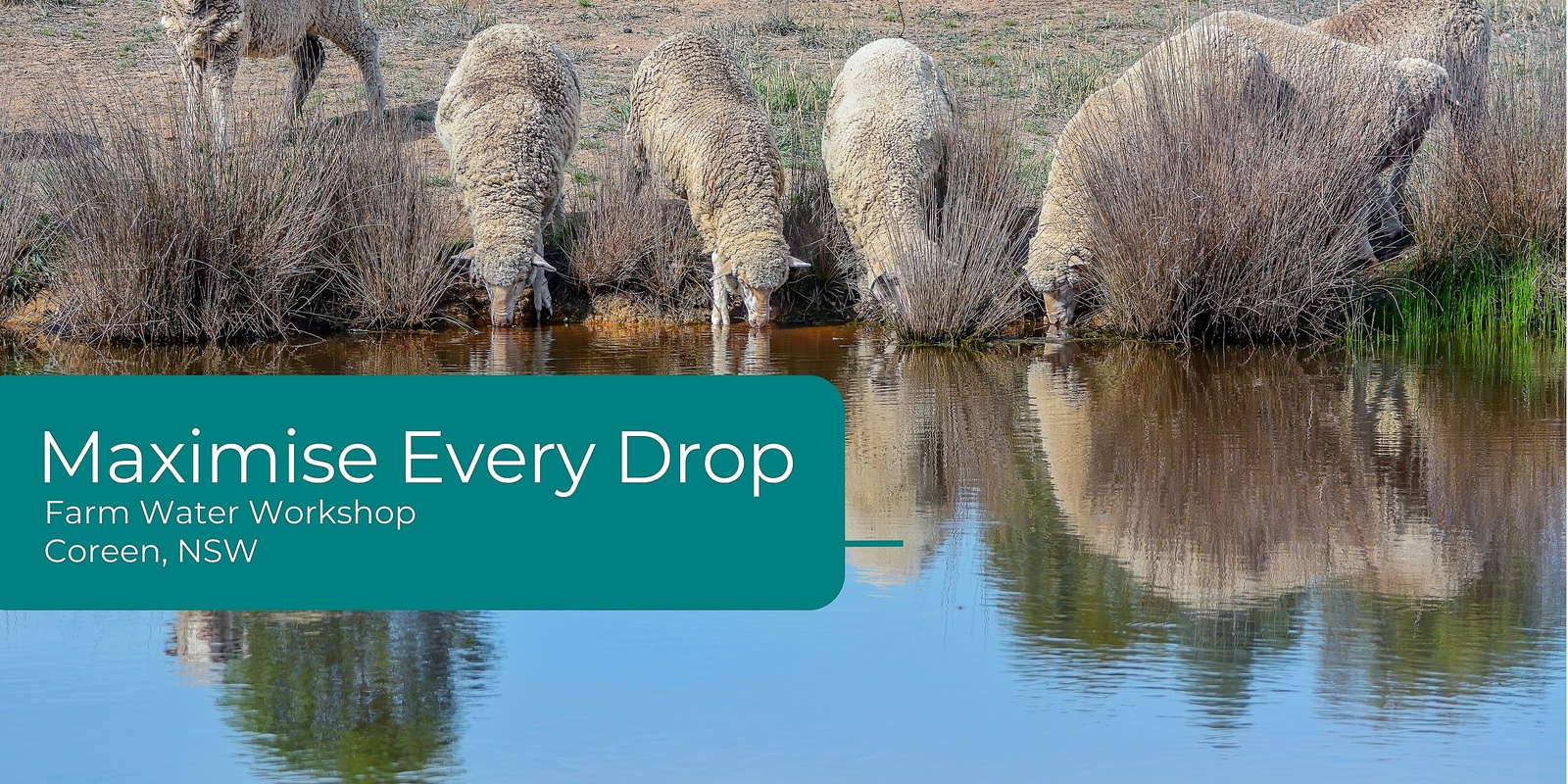 Banner image for Maximise Every Drop: Farm Water Planning Workshop