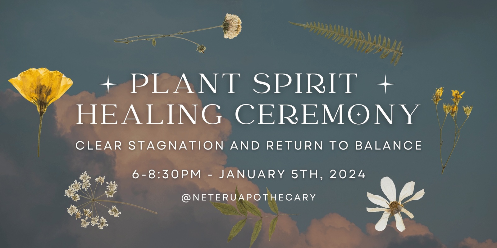 Banner image for Plant Spirit Healing Ceremony: Clear stagnation and return to balance of mind, body, and spirit.