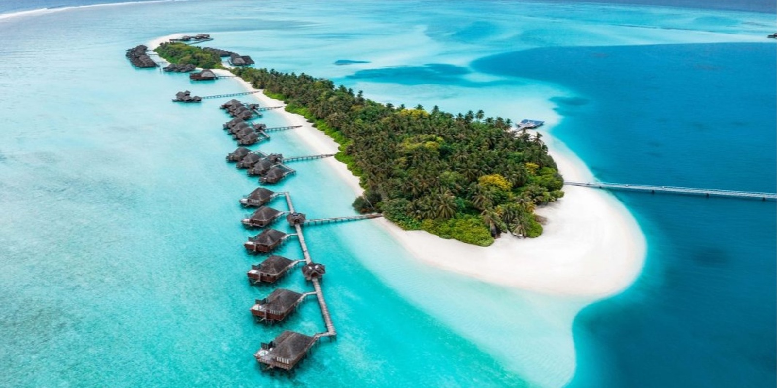 Banner image for Medicine in the Maldives 2025