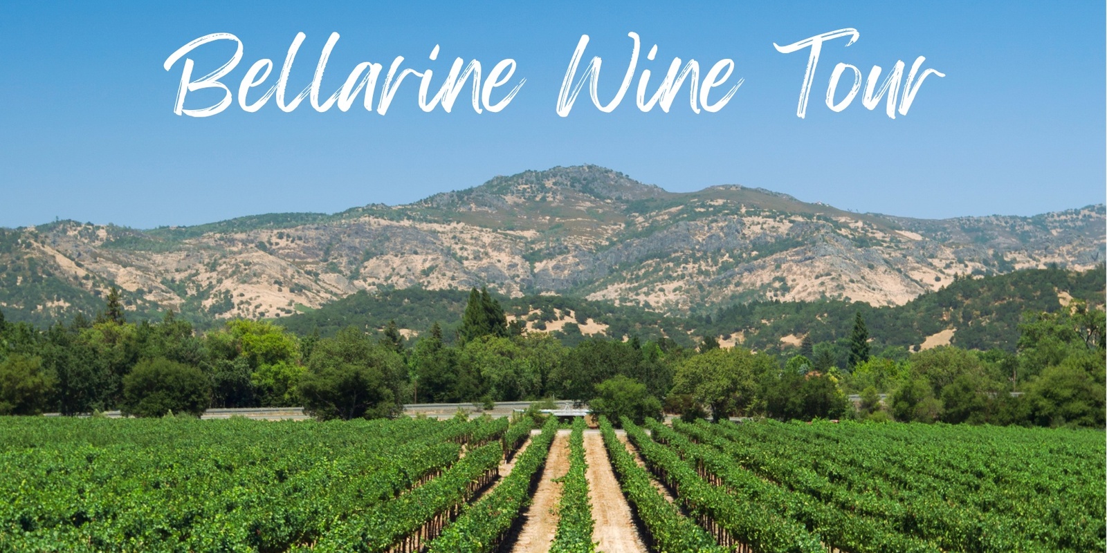 Banner image for Bellarine Wine Tour 