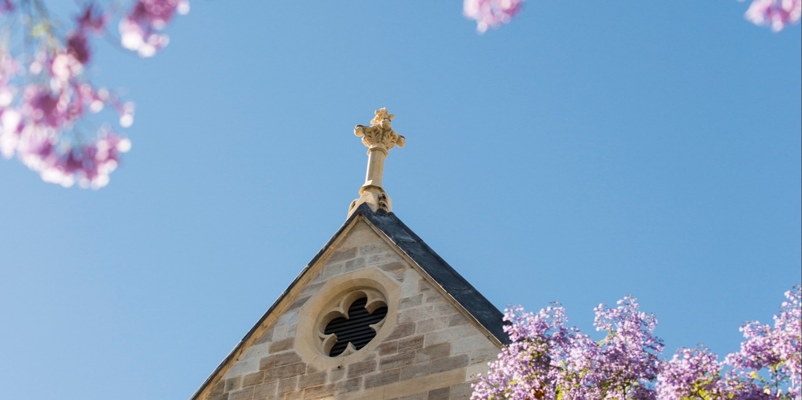 University of Adelaide Alumni's banner