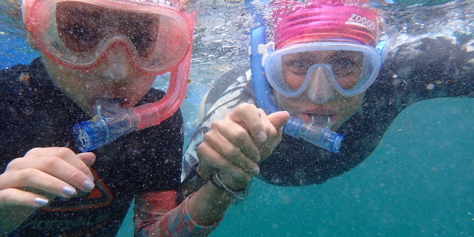 Banner image for Snorkelling for Intermediate at Gordons Bay 