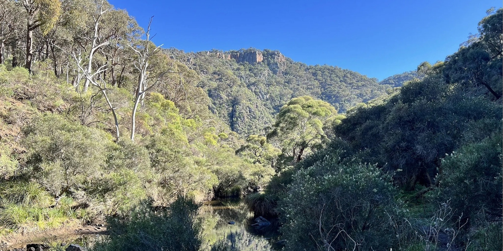 Banner image for Lerderderg Heritage River and Whipstick Loop Walk - Grade 3 (Medium)