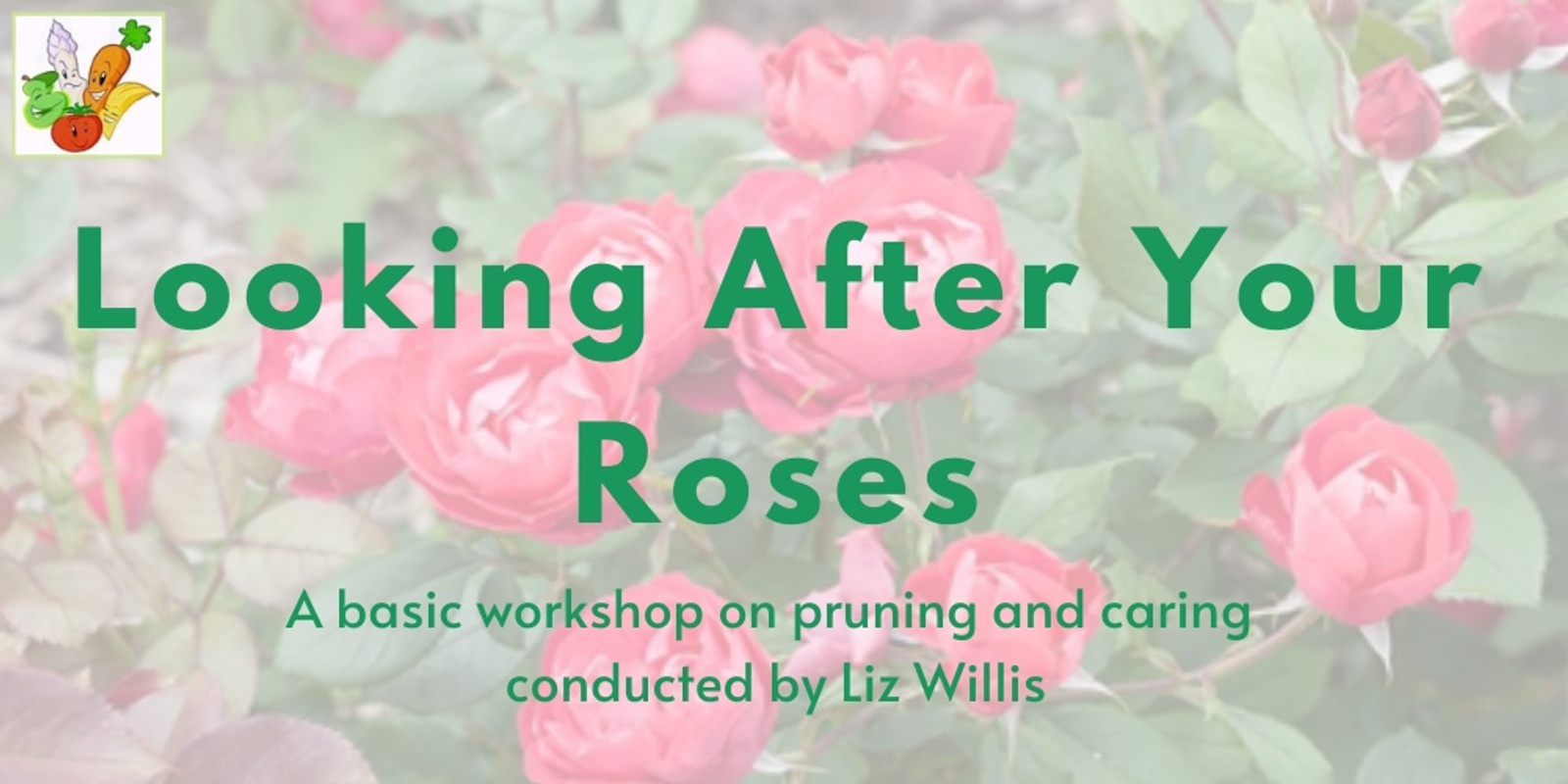 Banner image for  Looking After Your Roses