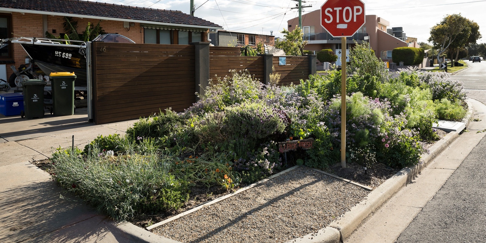 Banner image for Open Garden: Tour of Peter's small unit garden and nature strip