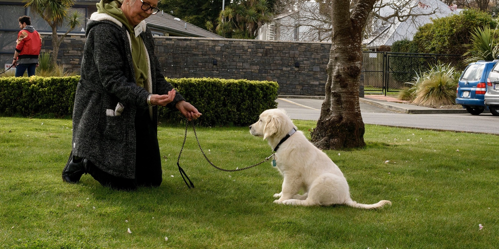 Banner image for Dog Training- Life Skills Course- April 2024
