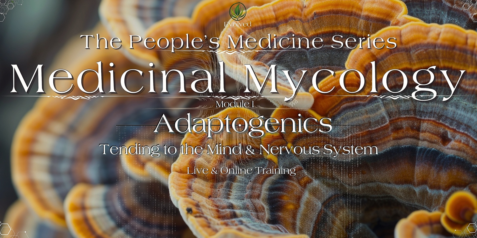 Banner image for Medicinal Mycology: Adaptogenics (Mushrooms, Herbs & Mental Wellbeing)