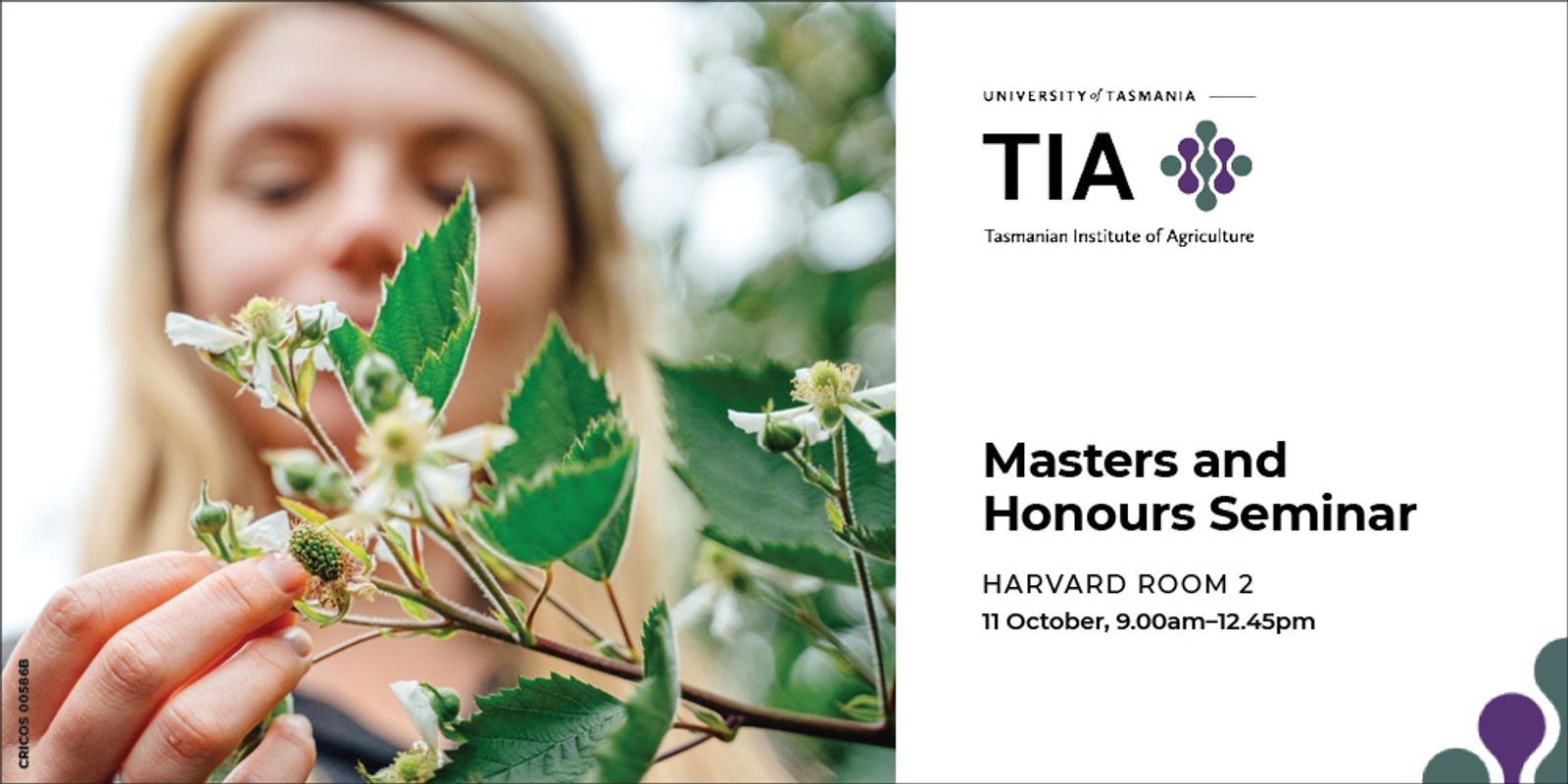 Banner image for Masters and Honours seminar