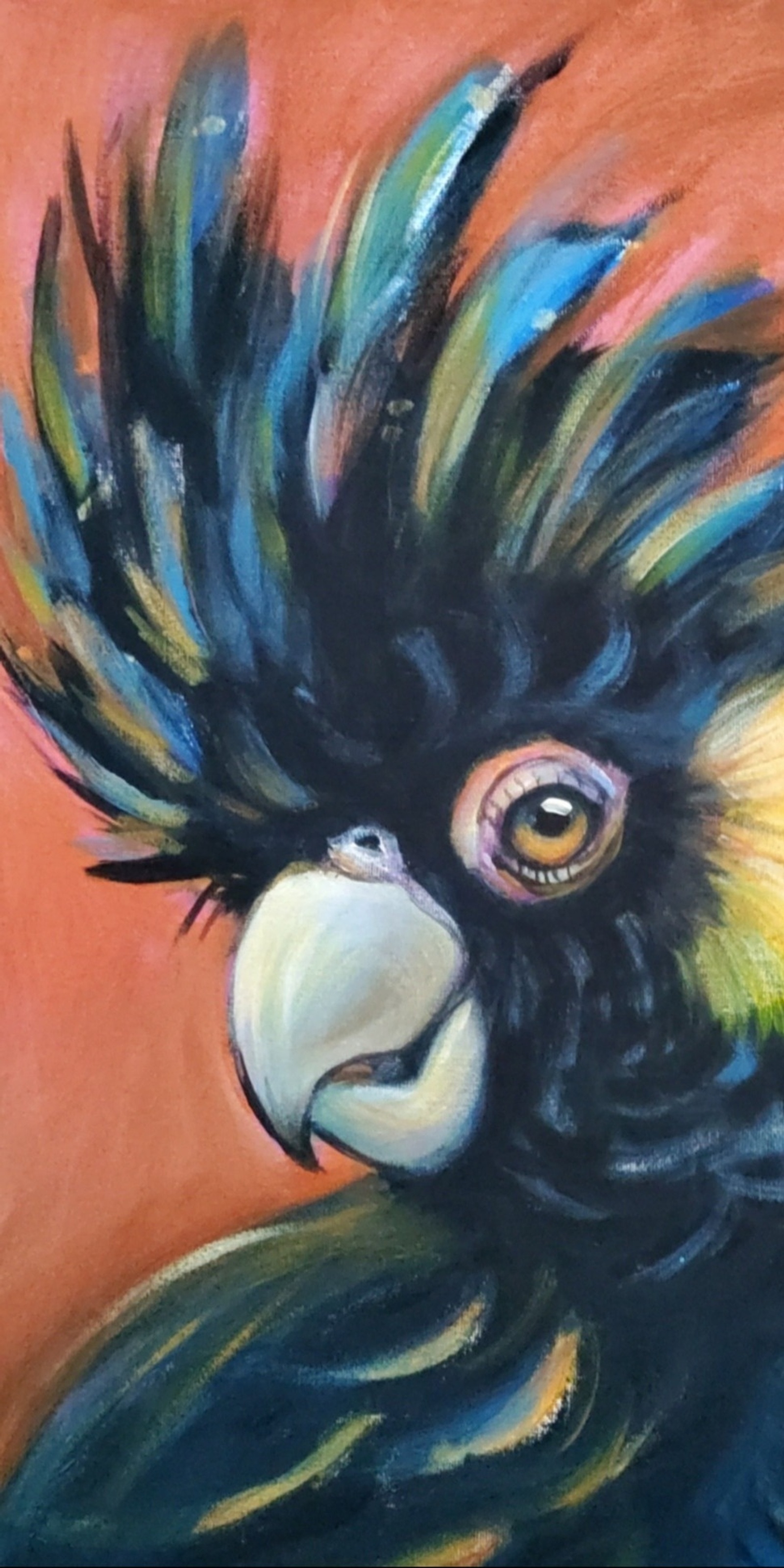 Banner image for Paint n Sip Black cockatoo