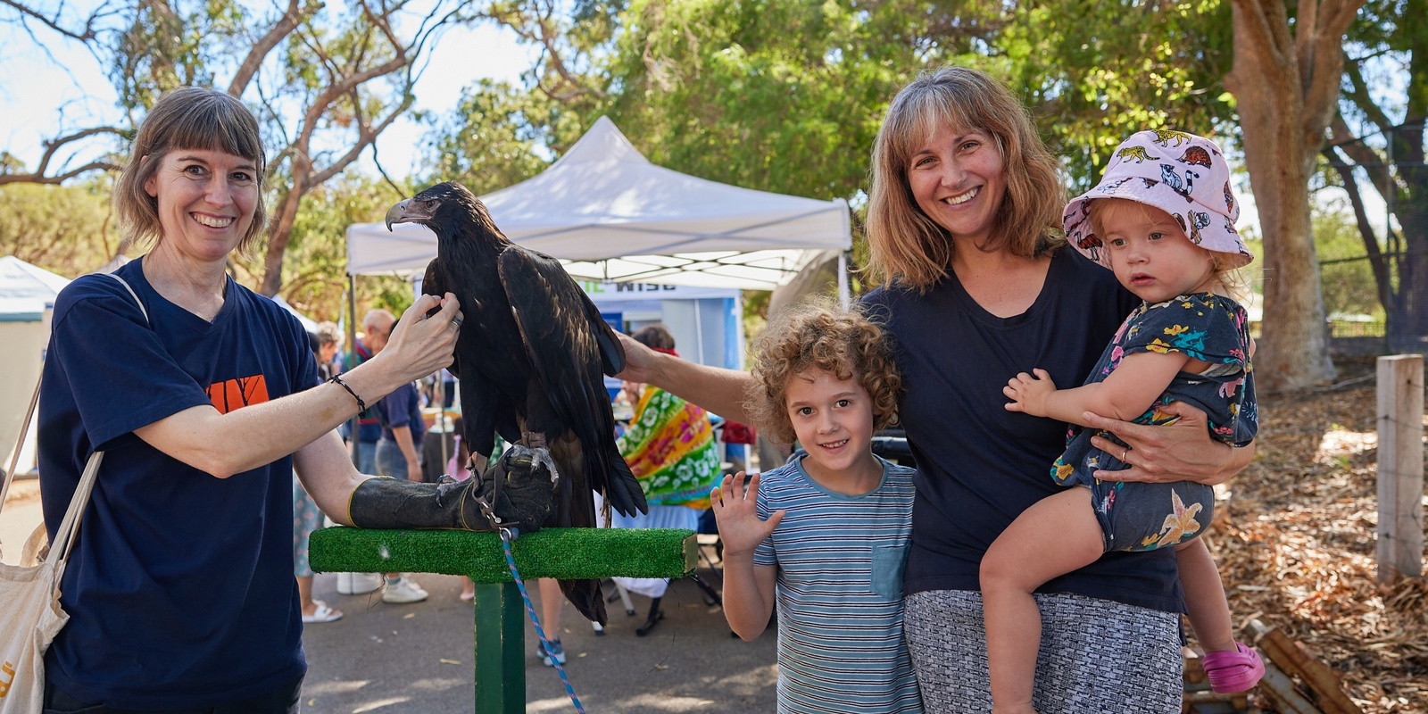 Banner image for Birds of Stirling presented by City of Stirling and WA Birds of Prey