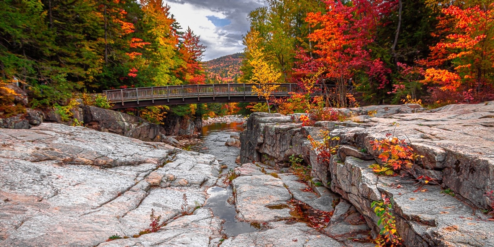 Banner image for Best of the White Mountains: Fall Foliage