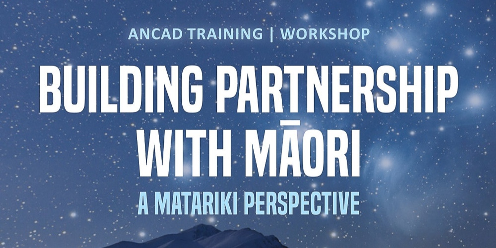 Banner image for Building partnership with Māori: A Matariki perspective