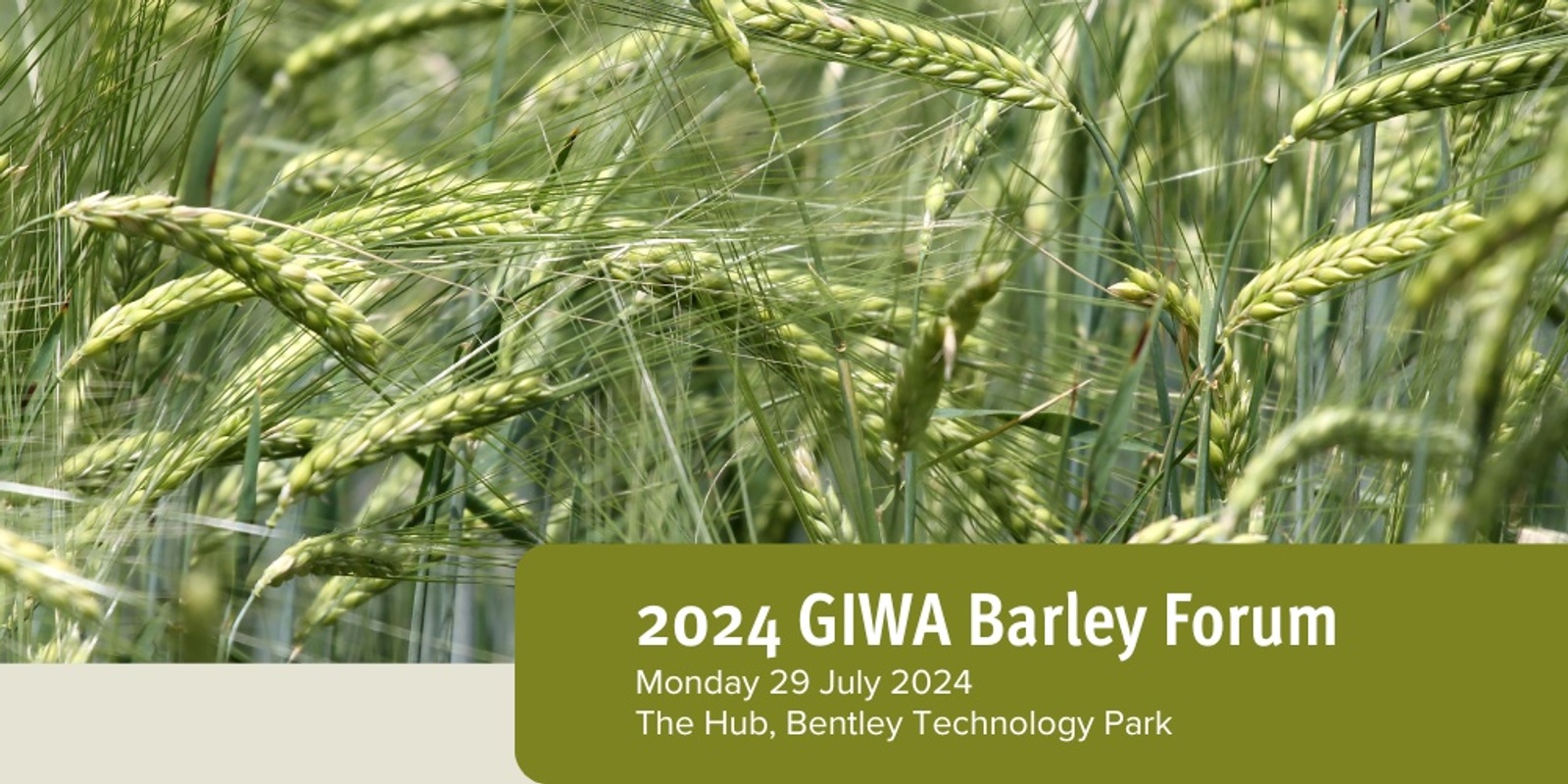 Banner image for GIWA Barley Forum 2024